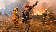 🌡️ Avrupa'da Sıcak Hava Alarmı: İspanya'da 30'dan Farklı Noktada Orman Yangını Çıktı