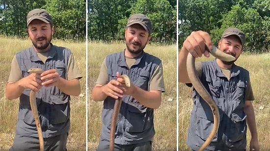 Kör Yılan Zannedip Öldürdüğünüz Sürüngenlerin Aslında Kertenkele Olduğunu Biliyor muydunuz?