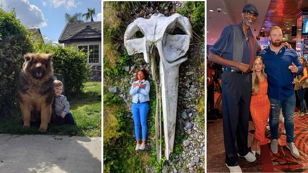 Все познается в сравнении или 23 предмета, масштабы которых можно оценить только поставив их рядом с чем-то