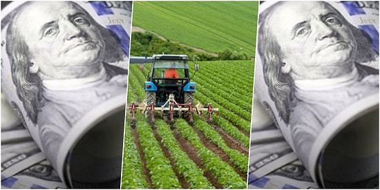 Tarım Girdi Maliyetlerinde Kur Etkisi Görülürken, Yurt Dışı Üretici Fiyatları da Yeniden Arttı