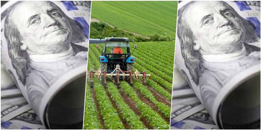 Tarım Girdi Maliyetlerinde Kur Etkisi Görülürken, Yurt Dışı Üretici Fiyatları da Yeniden Arttı