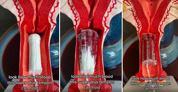 Adet Kanını Emerek Kanın Vajinadan Dışarı Akmasını Engelleyen Tamponlar Nasıl Çalışıyor?