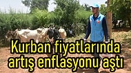 Diyanet'in Açıkladığı Kurban Fiyatlarında Artış Enflasyonu Aşınca Tartışmalara Yol Açtı