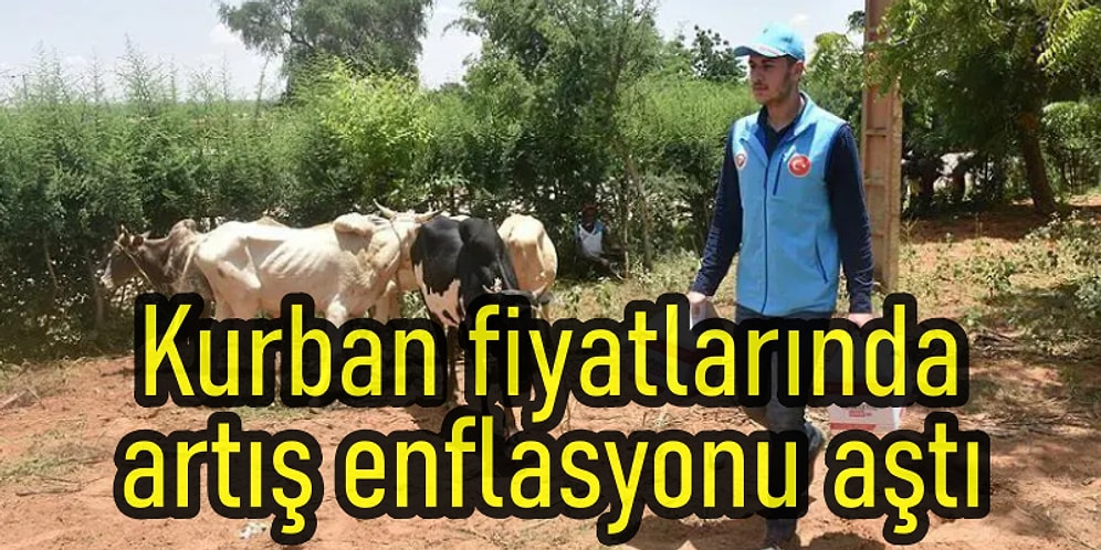 Diyanet'in Açıkladığı Kurban Fiyatlarında Artış Enflasyonu Aşınca Tartışmalara Yol Açtı