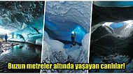 Antarktika Buzullarının Altında Bulunan 'Gizli Dünya' Bilim İnsanlarını Heyecanlandırdı!