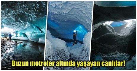 Antarktika Buzullarının Altında Bulunan 'Gizli Dünya' Bilim İnsanlarını Heyecanlandırdı!