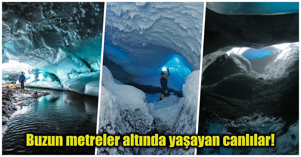 Antarktika Buzullarının Altında Bulunan 'Gizli Dünya' Bilim İnsanlarını Heyecanlandırdı!