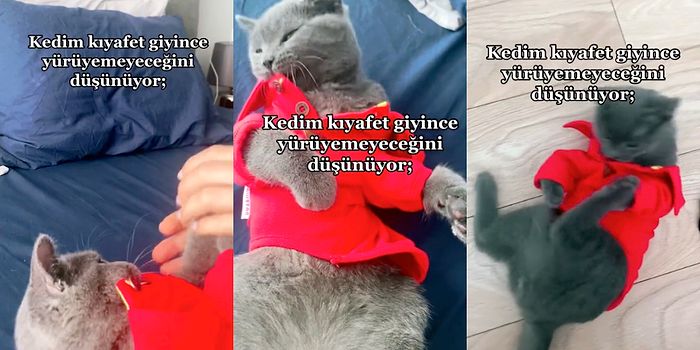 İnsan Dostunun Aldığı Kıyafetleri Giyince Bi' Fenalık Geçiren Kediciğin Yürümeyi Unuttuğu Anlar