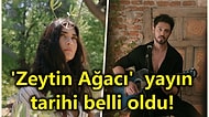 Tuba Büyüküstün ve Murat Boz'u Bir Araya Getiren Dizi 'Zeytin Ağacı'nın Yayın Tarihi Açıklandı!