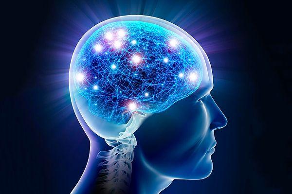 Sinirler, elektrik akımları şeklinde bilgi taşıyan beynin kablolarıdır.
