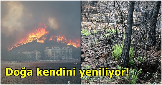 Geçtiğimiz Yaz Tam 9 Gün Süren Marmaris Orman Yangınında Yanan Yerler Şimdi Ne Halde?