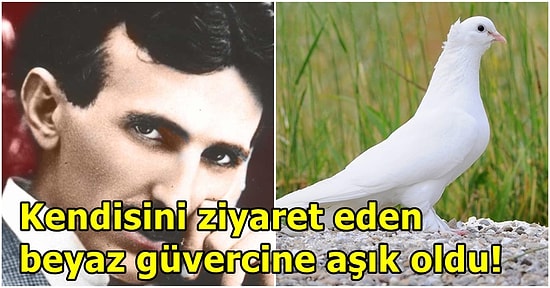 Dâhilikle Delilik Arasında Gidip Gelen Bilim İnsanı Nikola Tesla ve Güvercinlere Olan Aşkı