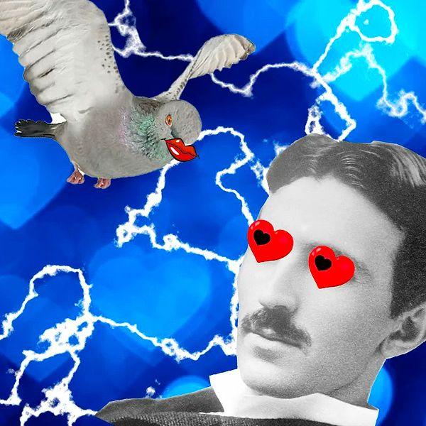 Kaldığı otellerde penceresine gelen güvercinler için özel tohumlardan bir karışım dahi yaptıran Tesla'nın güvercinlere olan sevgisi aşikar olsa da bir röportaj esnasında bu sevgisinin bir tık üste çıktığını açıkladı.