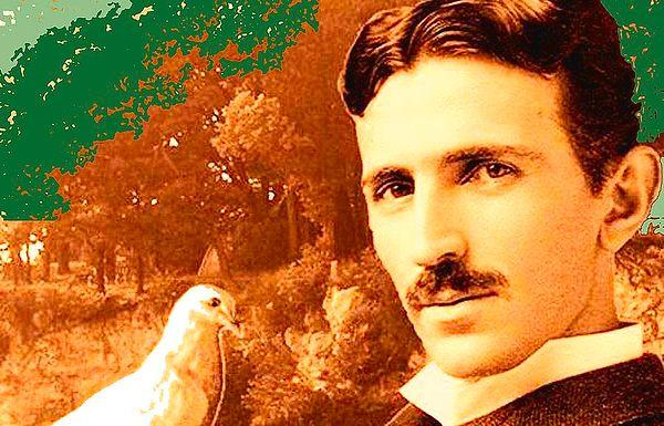 Aşık olduğu beyaz güvercini uzun süre özel tohumlarla besleyen Tesla'nın bu aşkı elbette sonsuza dek sürmeyecekti.
