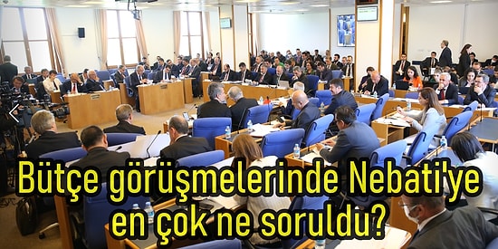 Ek Bütçe Komisyondan Geçti: Peki Komisyonda Neler Konuşuldu? Nebati, Hangi Milletvekilini Pazara Davet Etti?