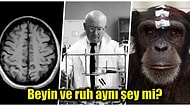 Bir İnsanın Kafası Başka Bir İnsana Nakledildiğinde O Kişinin Bilinci de Kafa İle Birlikte Transfer Olur mu?