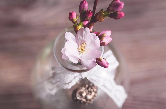 Nilgün Marmara-Manolya Şiiri