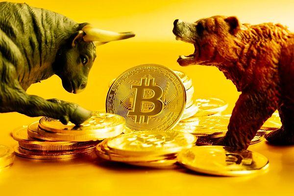 Bitcoin kahini ünlü analist "Dave the Wave" Bitcoin tahminlerini açıkladı!