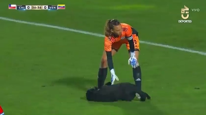 Şili - Venezuela Kadınlar Futbol Karşılaşmasında Sahaya Giren Köpeğe Yoğun İlgi