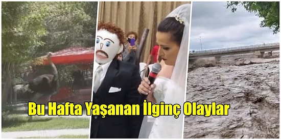 Haftalık Şaşırma Kotanızı Ağzına Kadar Dolduracak 21-27 Haziran Tarihlerinde Yaşanmış 17 Acayip Olay