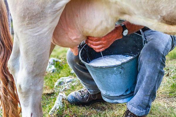 ‘Çiğ süt üretim maliyetinde önemli bir değişiklik olduğunda piyasa şartlarına göre tekrar değerlendirme yapılacaktır’ denilmişti