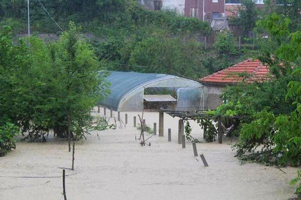 Birçok ev ve iş yerinin zarar gördüğü Zonguldak'ta sayısız tarım arazisi ve seralar da yağışlar yüzünden sular altında kaldı.