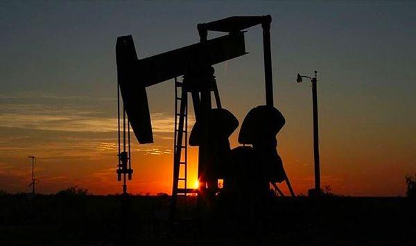 Adana'da petrol rezervi iddiası...