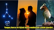 Aralarındaki Çekim Gücü Yüksek Olan Yengeç Burcu ve Oğlak Burcu Uyumu İlişkide Nasıl Olur?
