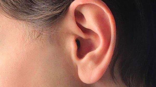 9. Çoğumuz kulak kirini iğrenç bulsak da kulak kiri kulağımız için bir kalkan görevi görür.