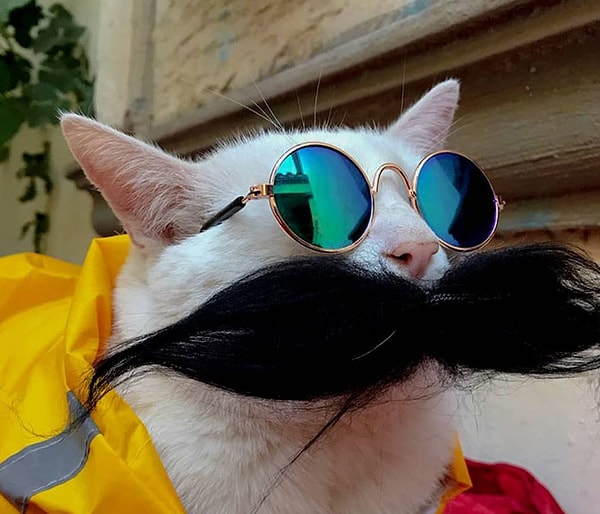 Но Кролик был не единственным, кто исцелился в этом путешествии. “Я переживала очень трудные времена, и вдруг маленький пушистый зверек потряс мою жизнь”, - сказала Таня.