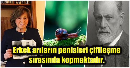 Öğrendiğiniz Andan İtibaren Bilgi Hazinesine Dönüşeceğiniz Birbirinden İlginç Kültürel Gerçekler