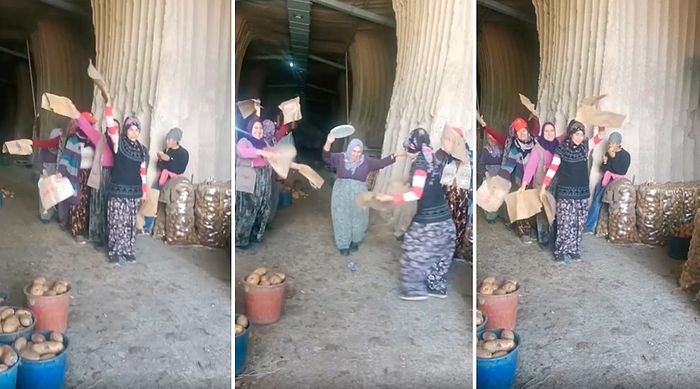 'Boshret Khair' Şarkısı Eşliğinde Doyasıya Eğlenen Patates İşçisi Kadınların Muazzam Anları