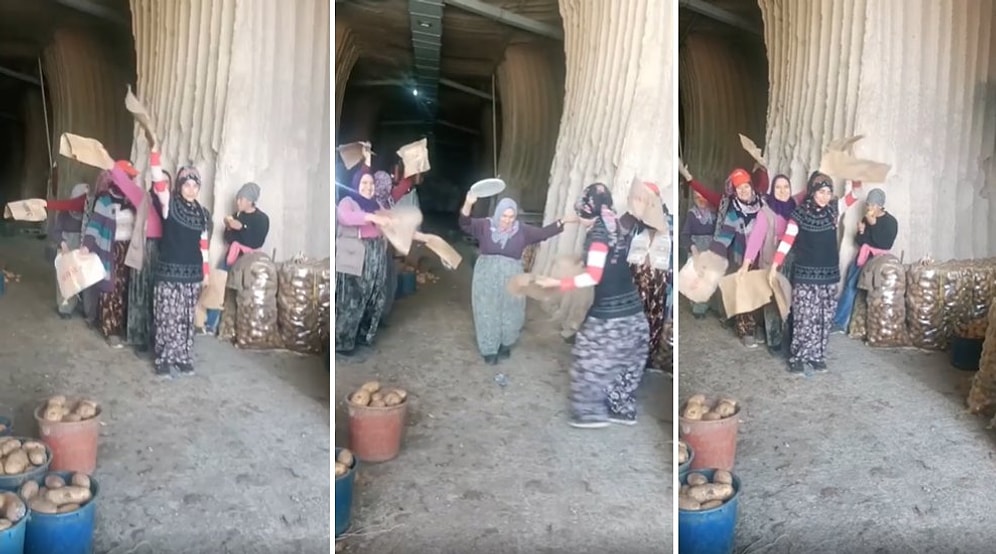 'Boshret Khair' Şarkısı Eşliğinde Doyasıya Eğlenen Patates İşçisi Kadınların Muazzam Anları