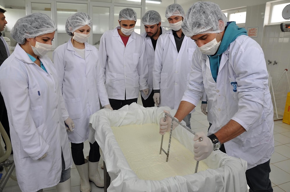 Süt Teknolojisi 2022 Taban Puanları ve Başarı Sıralaması (4 Yıllık)