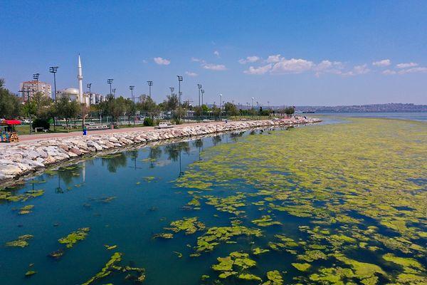 Dokuz Eylül Üniversitesi (DEÜ) Deniz Bilimleri ve Teknolojisi Enstitüsü Öğretim Üyesi Prof. Dr. Doğan Yaşar, bu yıl yaşanan kuraklığa bağlı olarak denizde su sirkülasyonunun azaldığını söyledi.