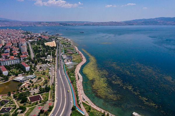 "Yosunun bu dönemde görülmesi beklenmeyen değil ama nadir olan bir şey. Ancak İzmir'de son yılların en kurak dönemi yaşandı. Yağış olmayınca denizdeki su sirkülasyonu da azalıyor."