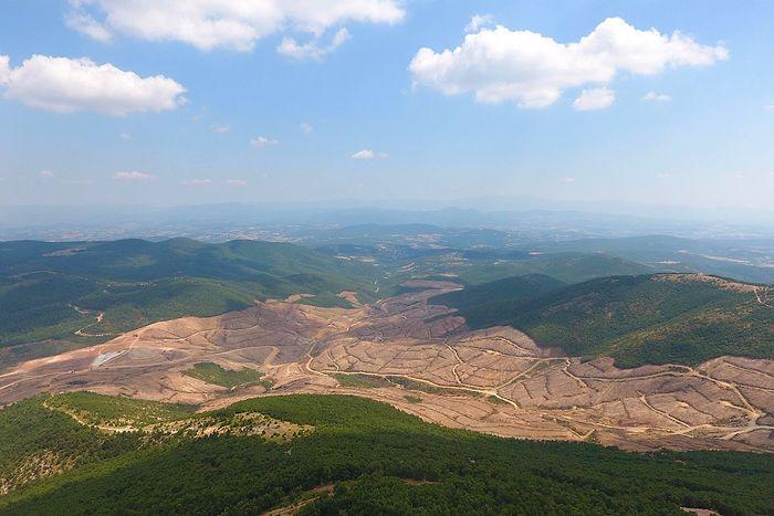 3.5 Milyon Ağaç Kesilecekti: Mahkeme Kazdağları'nda Cengiz'e 'Dur' Dedi