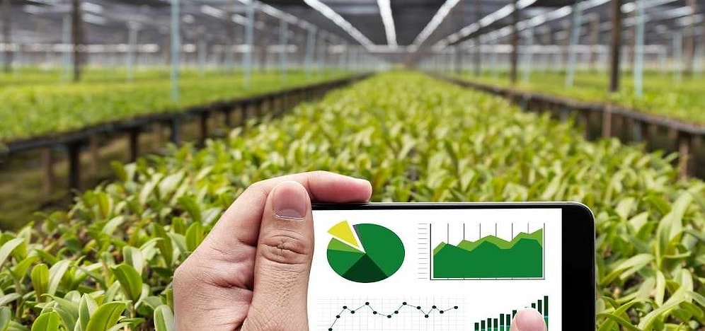 Tarım Ticareti ve İşletmeciliği 2022 Taban Puanları ve Başarı Sıralaması (4 Yıllık)