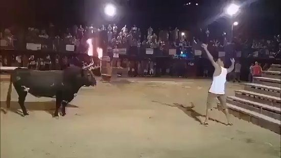 Boynuzları Ateşe Verilen Boğanın Matadordan İntikam Aldığı Acı Dolu Anlar