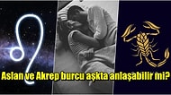 Aralarındaki Güç Savaşı Nedeniyle Pek Anlaşamayan Aslan ve Akrep Burcu İlişkisi Nasıldır?