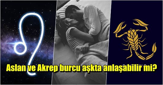 Aralarındaki Güç Savaşı Nedeniyle Pek Anlaşamayan Aslan ve Akrep Burcu İlişkisi Nasıldır?