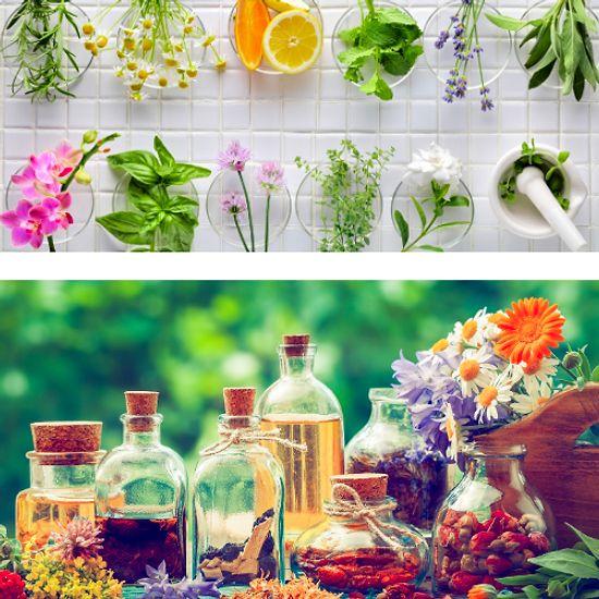 Tıbbi ve Aromatik Bitkiler  2022 Taban Puanları ve Başarı Sıralaması (2 Yıllık)