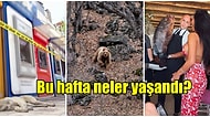 Haftalık Şaşırma Kotanızı Ağzına Kadar Dolduracak 28 Haziran- 4 Temmuz Tarihlerinde Yaşanmış 13 Acayip Olay