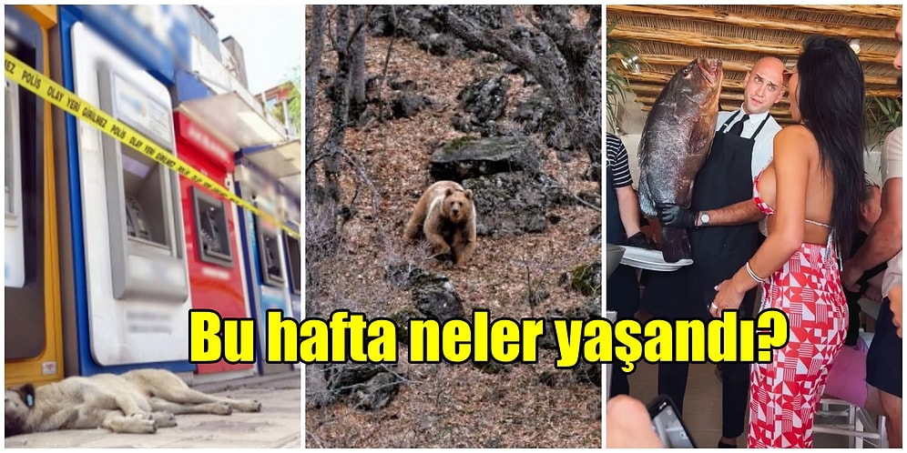 Haftalık Şaşırma Kotanızı Ağzına Kadar Dolduracak 28 Haziran- 4 Temmuz Tarihlerinde Yaşanmış 13 Acayip Olay