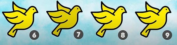 4. Güvercinlerden hangisi farklı?