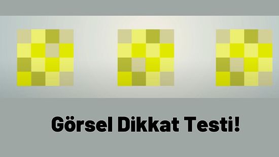 Bu Görsel Dikkat Testinde Kaç Doğru Cevap Vereceksin?