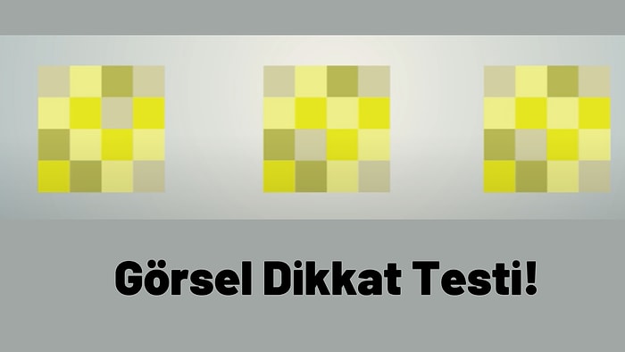 Bu Görsel Dikkat Testinde Kaç Doğru Cevap Vereceksin?
