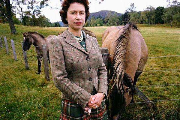 2 Haziran 1953 yılında taç giyen tam adıyla Elizabeth Alexandra Mary Windsor'ın işi dışında tutkuyla bağlandığı çok özel ve değerli bir hobisi var: Atlar! II. Elizabeth'in atlara olan tutkusu günbegün artan ve katlanan cinsten.