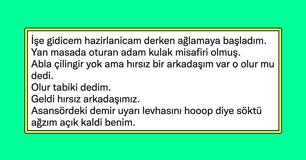 Apartman Kedisine Su Verirken Kapıda Kalan Kadının Hırsızdan Yardım İstediği İlginç Anısına Çok Güleceksiniz