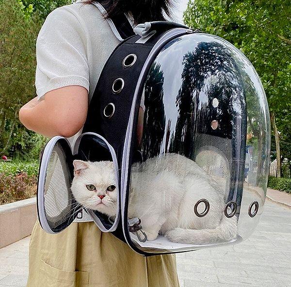 5. Her yere götürebileceğiniz kedi taşıma çantası...